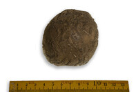 F 09960
<br/>
<br/>
<em></em>